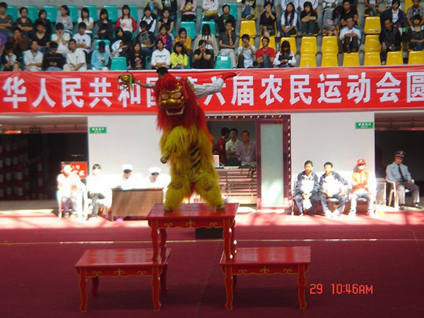 国内赛事