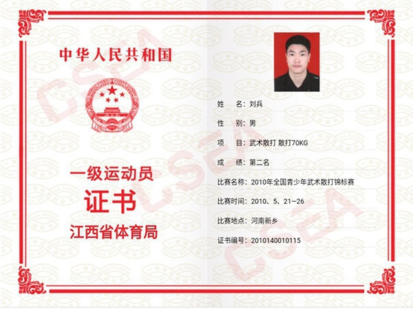 刘兵一级