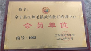 余干县江埠毛溪武馆散打培