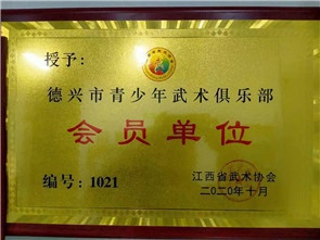 德兴市青少年武术俱乐部