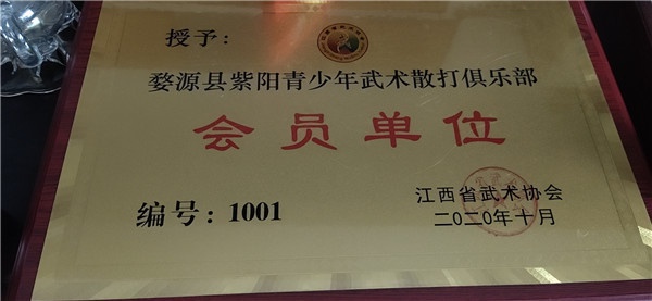 婺源县紫阳青少年武术散打